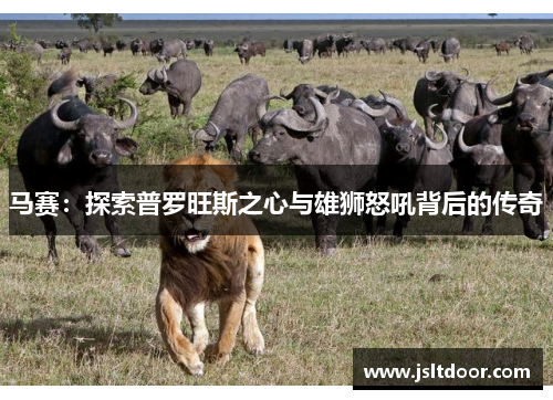 马赛：探索普罗旺斯之心与雄狮怒吼背后的传奇