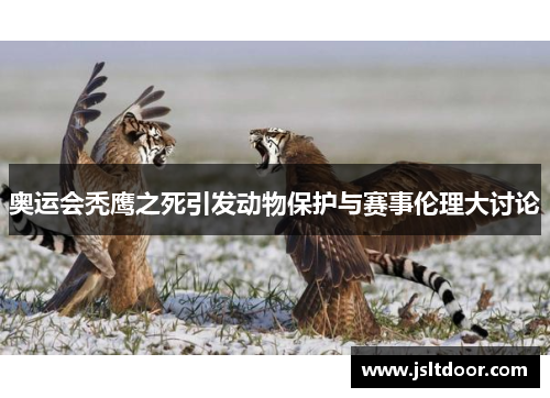 奥运会秃鹰之死引发动物保护与赛事伦理大讨论